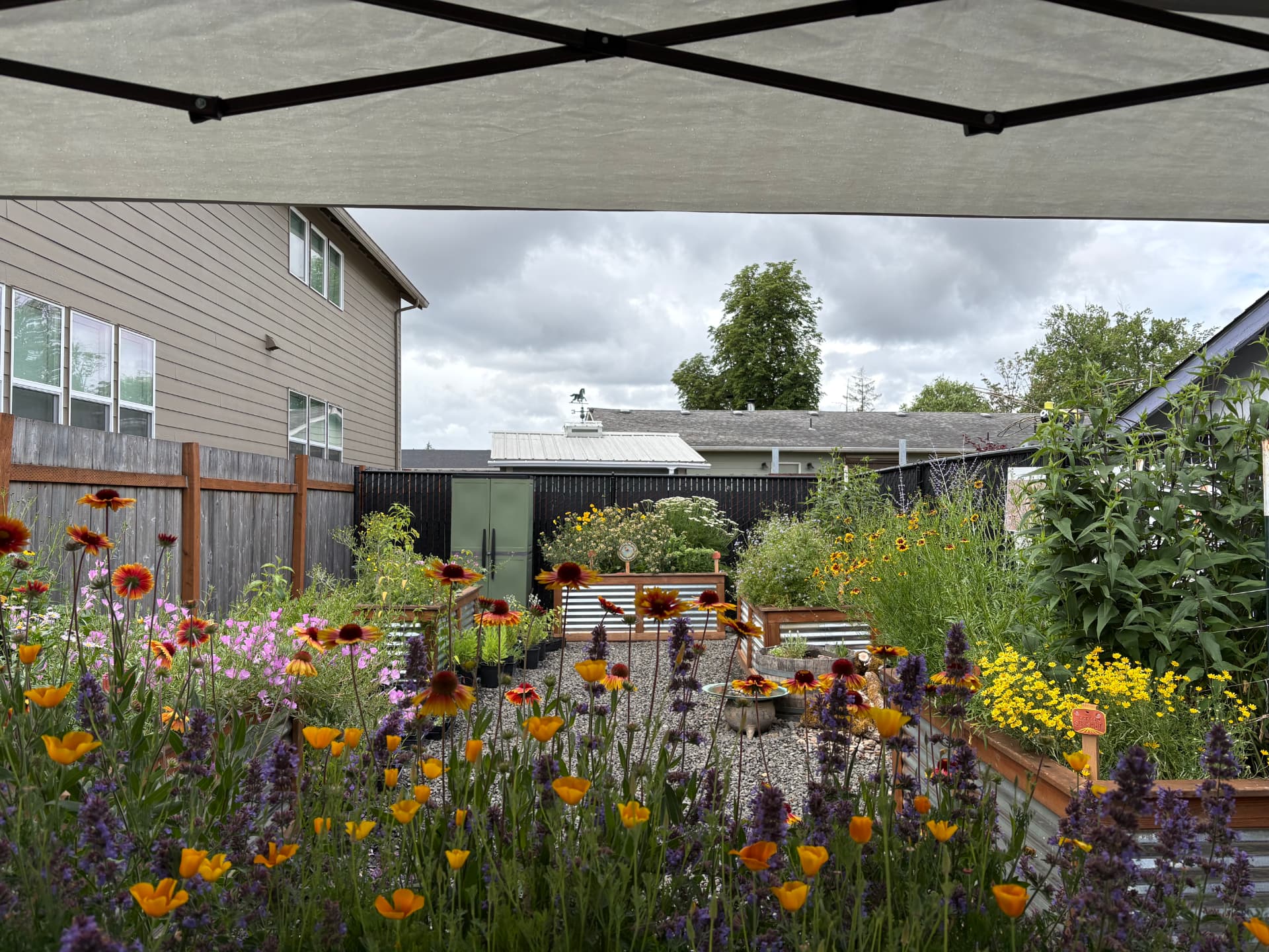1st Street Pollinator Garden (Beetopia)